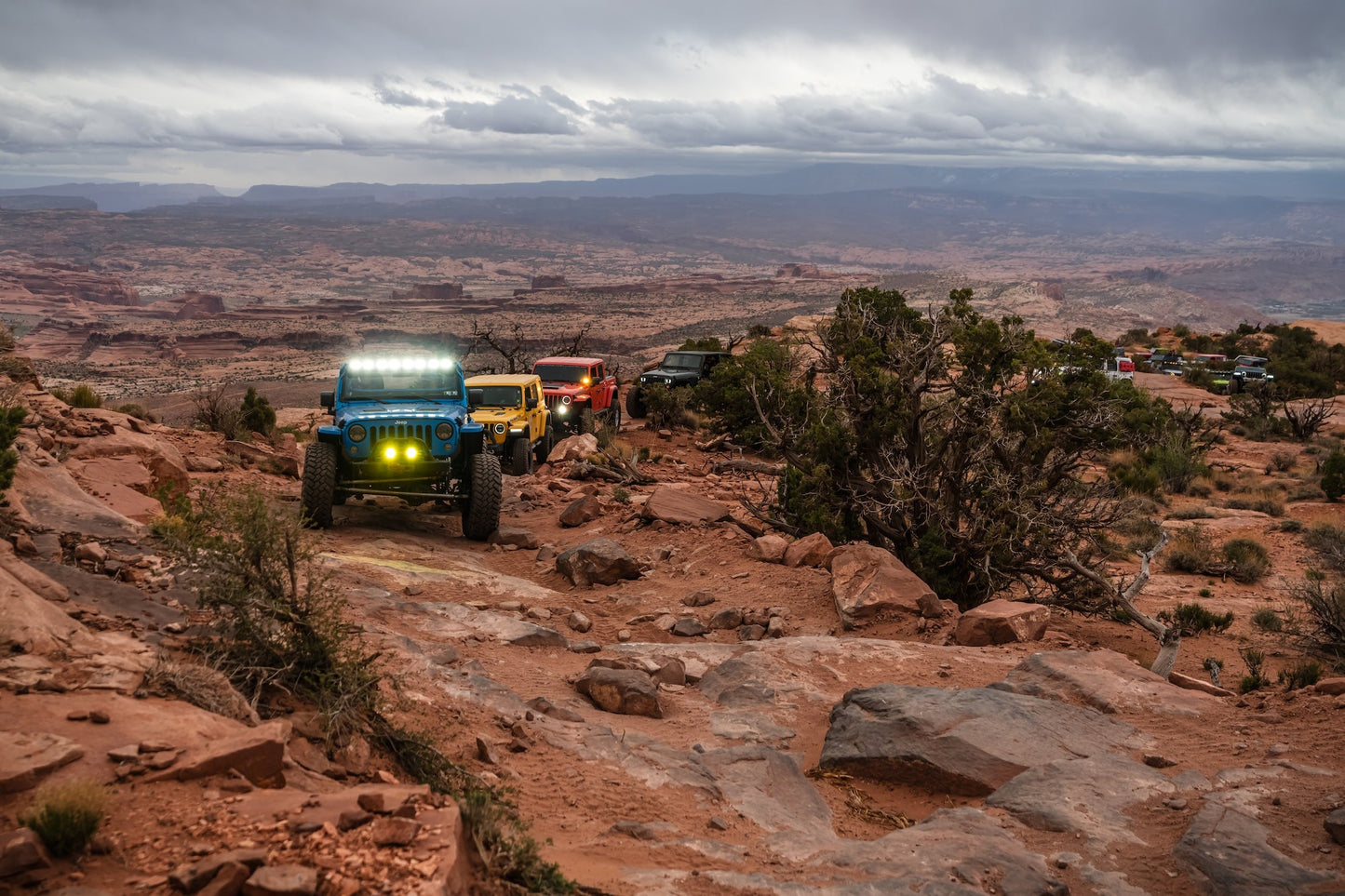 Built to Bash: Why Off-Roaders Are Choosing Premium Lights Over Budget Brands